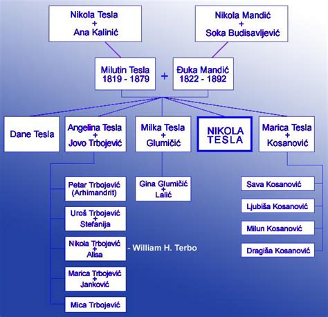 nikola tesla familie heute|Family tree of Nikola TESLA